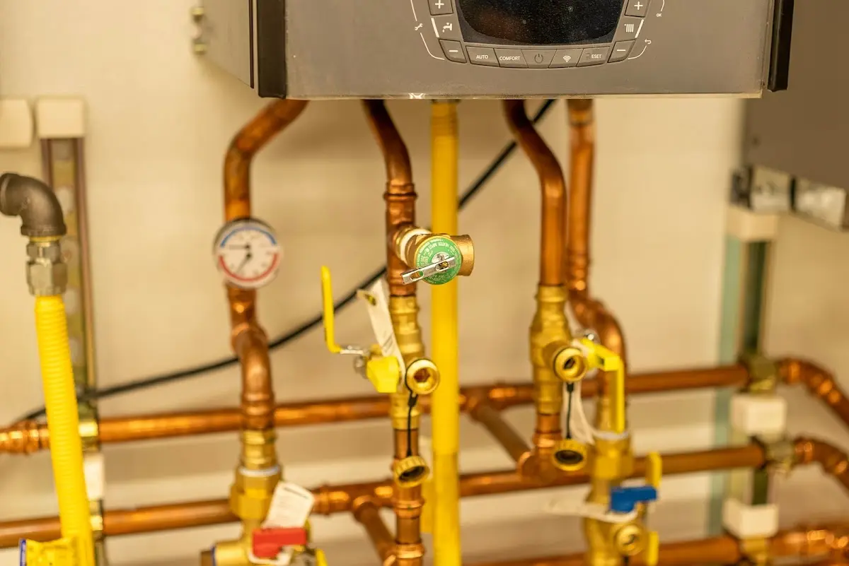 Licensed technician providing Sewer Cleanout for a homeowner in Tierra Verde